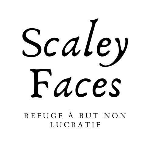 Logo Scaley Faces - Refuge pour reptiles